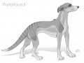 Thylahound.jpg